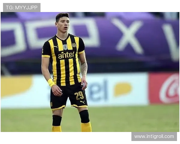 努涅斯：从潜力股到主力轮换的生涯阶段分析